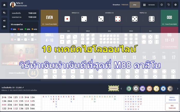 เทคนิคไฮโล-ออนไลน์-08