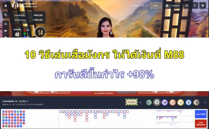 วิธีเล่นเสือมังกร-ให้ได้เงิน-07