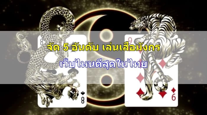 เสือมังกร-เว็บไหนดี-image