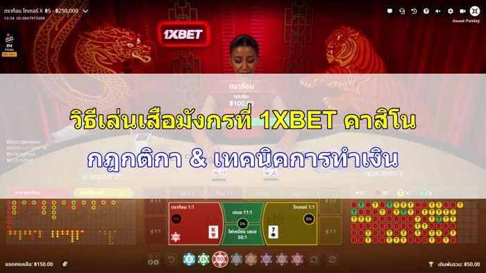 วิธีเล่นเสือมังกร-07