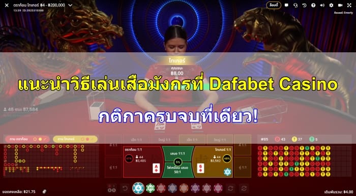 วิธีเล่นเสือมังกร-09