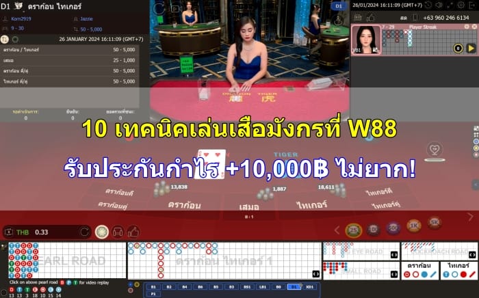 เทคนิคเล่นเสือมังกร-10