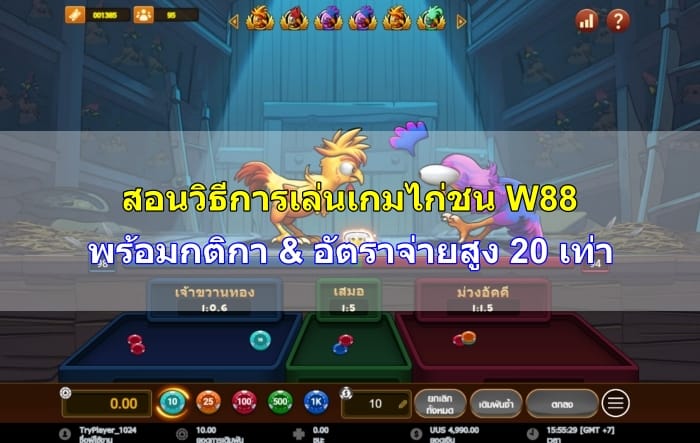 วิธีการเล่นเกมไก่ชน-13