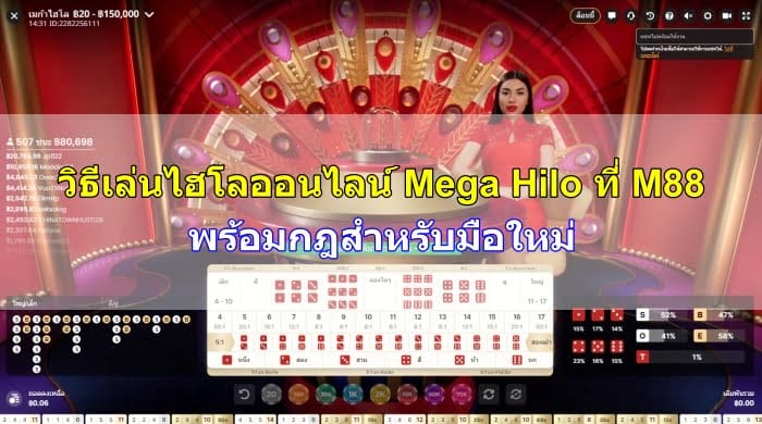 วิธีเล่น-ไฮโล-ออนไลน์-08